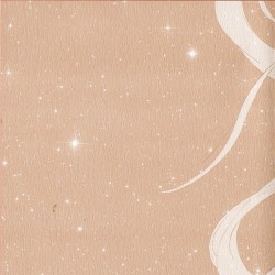 SMCl BR Limited Edition 1 - Opening and Ending Storyboard cover 2.jpg