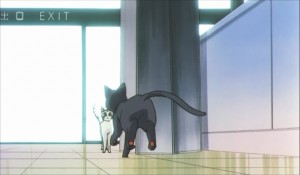 SailormoonS-movie (2064).jpg