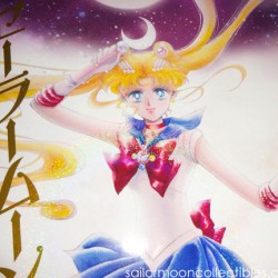 sailormoon-kanzenban-manga-2013-new-vol1crs.jpg