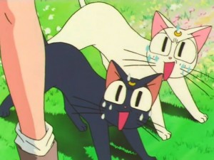 screenshot-anime-sailor-moon-super-s-episode-128-094.jpg