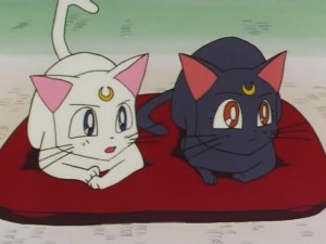 screenshot-anime-sailor-moon-super-s-episode-131-250.jpg