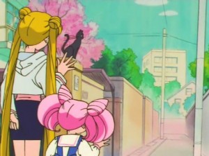 screenshot-anime-sailor-moon-super-s-episode-133-047.jpg