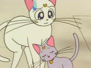 screenshot-anime-sailor-moon-super-s-episode-133-069.jpg