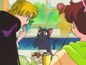 screenshot-anime-sailor-moon-super-s-episode-133-193.jpg