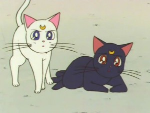 screenshot-anime-sailor-moon-super-s-episode-133-466.jpg