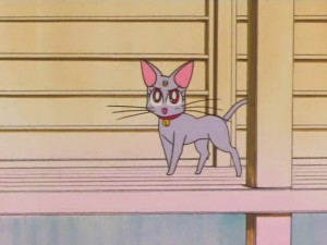 screenshot-anime-sailor-moon-super-s-episode-136-294.jpg