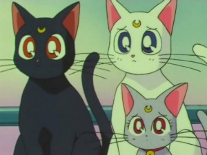 screenshot-anime-sailor-moon-super-s-episode-162-155.jpg