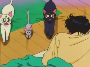 screenshot-anime-sailor-moon-super-s-episode-162-198.jpg