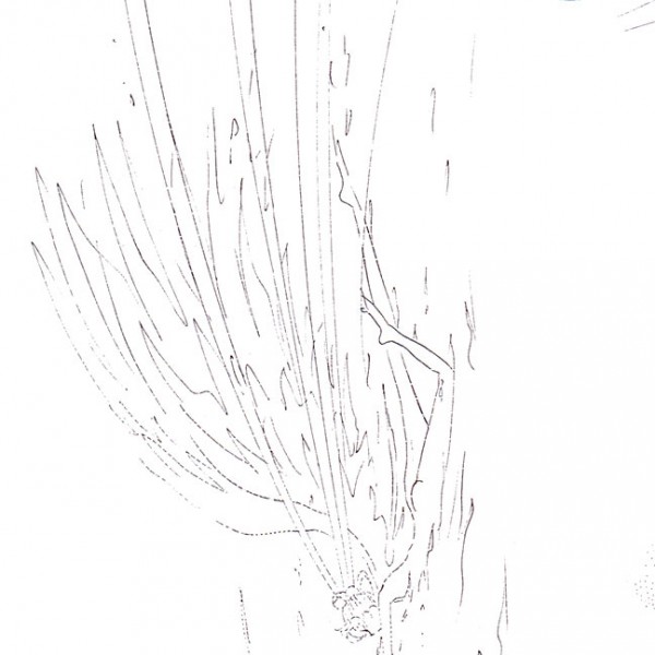 usagi-jumps-into-the-galaxy-claudron-manga.jpg