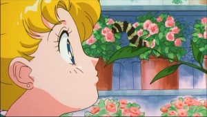 Sailormoon-R (165).jpg