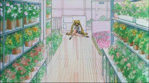 Sailormoon-R (173).jpg