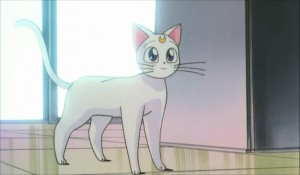 SailormoonS-movie (2054).jpg