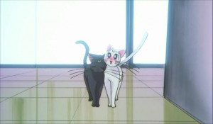 SailormoonS-movie (2075).jpg