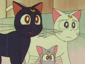 sailormoon-supers-142 (42).jpg