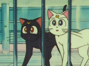 sailormoon-supers-142 (59).jpg