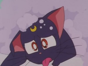 screenshot-anime-sailor-moon-sailor-stars-episode-178-237.JPG
