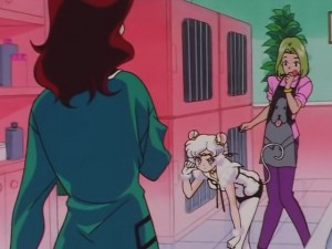 screenshot-anime-sailor-moon-sailor-stars-episode-178-316.JPG