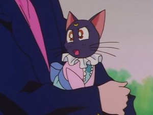 screenshot-anime-sailor-moon-sailor-stars-episode-178-322.JPG