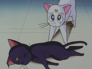 screenshot-anime-sailor-moon-sailor-stars-episode-178-479.JPG