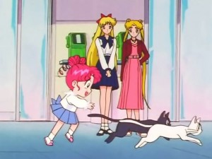 screenshot-anime-sailor-moon-sailor-stars-episode-192-461.jpg