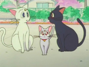 screenshot-anime-sailor-moon-super-s-episode-133-479.jpg