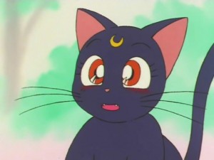 screenshot-anime-sailor-moon-super-s-episode-133-482.jpg