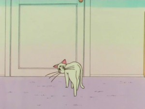 screenshot-anime-sailor-moon-super-s-episode-141-141.jpg
