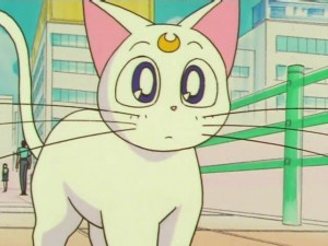 screenshot-anime-sailor-moon-super-s-episode-141-201.jpg