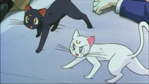 Sailormoon-R (515).jpg