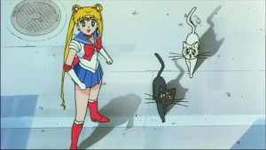 Sailormoon-R (798).jpg