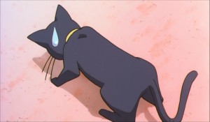 SailormoonS-movie (984).jpg