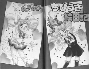 дневник Чиби Усы