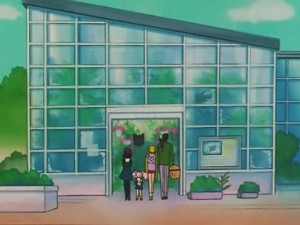 greenhouse-04.jpg