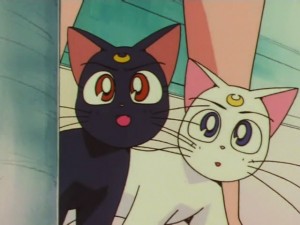 sailormoon-supers-142 (244).jpg