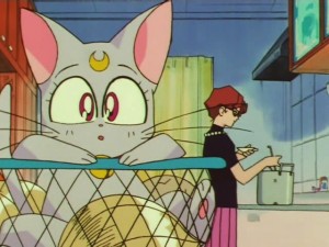 sailormoon-supers-142 (84).jpg