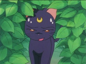 screenshot-anime-sailor-moon-sailor-stars-episode-181-160.JPG