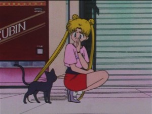 screenshot-anime-sailor-moon-sailor-stars-episode-182-120.JPG