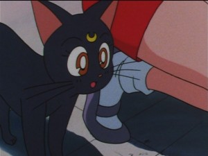 screenshot-anime-sailor-moon-sailor-stars-episode-182-122.JPG