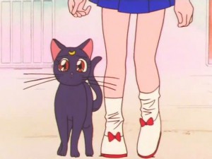 screenshot-anime-sailor-moon-super-s-episode-128-521.jpg