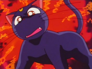 screenshot-anime-sailor-moon-super-s-episode-132-384.jpg