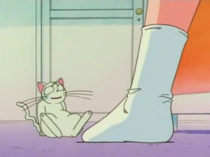 screenshot-anime-sailor-moon-super-s-episode-133-174.jpg