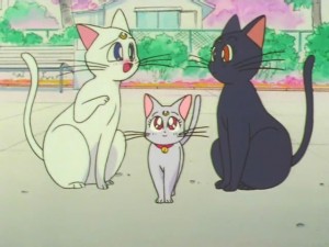 screenshot-anime-sailor-moon-super-s-episode-133-478.jpg