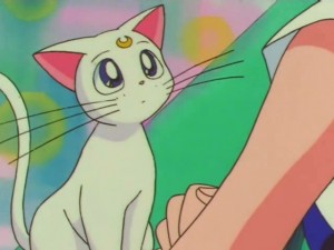 screenshot-anime-sailor-moon-super-s-episode-141-556.jpg