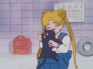 "Секрет" из 1 эпизода