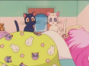 "Секрет" из 81 эпизода