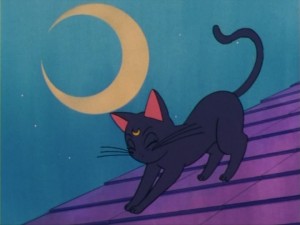 SailorMoon-s1-004(8).jpg