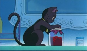 SailormoonS-movie (1009).jpg