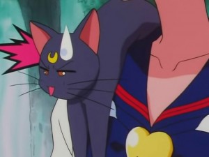 screenshot-anime-sailor-moon-sailor-stars-episode-176-458.jpg