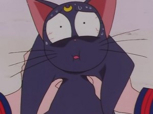 screenshot-anime-sailor-moon-sailor-stars-episode-178-135.JPG