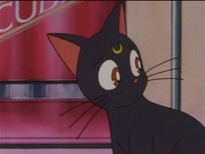 screenshot-anime-sailor-moon-sailor-stars-episode-182-104.JPG